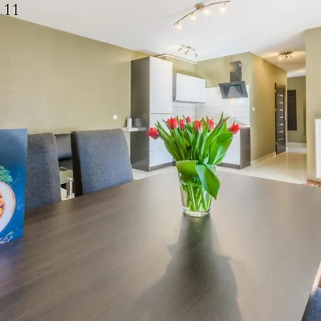Apartamenty Katowice By Lantier - Wellness & Spa Bytom