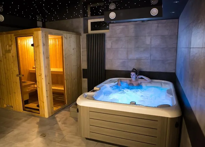 Aparthotel Apartamenty Katowice By Lantier - Swimming Pool Zone Bytom