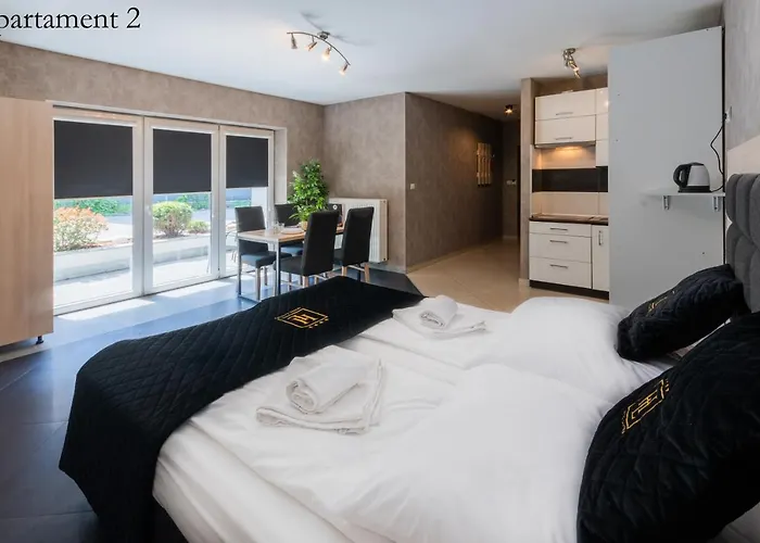 Aparthotel Apartamenty Katowice By Lantier - Swimming Pool Zone